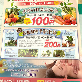 西田辺つながルームにて観葉植物　　季節の野菜即売会