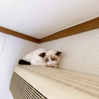 郵便局で育ったユウとビン🏣