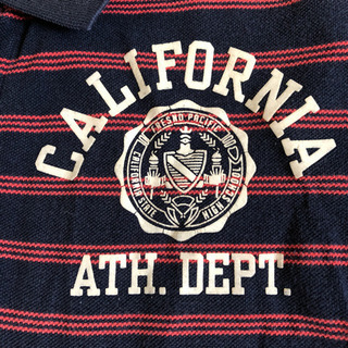 ポロシャツ👕champion Mサイズ　着丈66cm   身幅46cmの画像