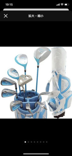 ワールドイーグル　レディース13点ゴルフクラブセット