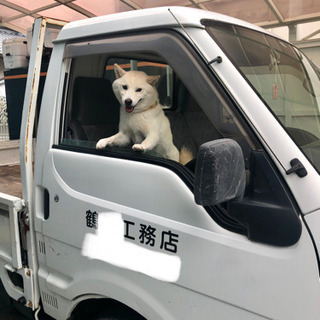 雑作業、運搬　やります。
