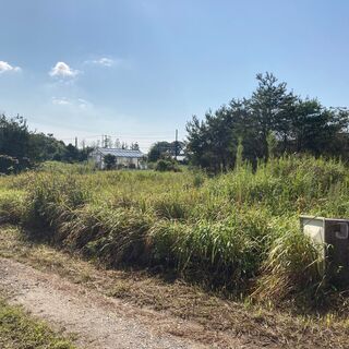 【全国】紛失物発見(指輪/金属/鉄)いたします。 - 港区