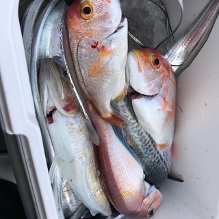 釣りガール募集