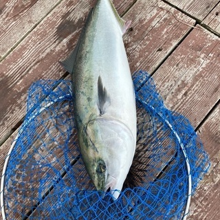 釣りガール募集 - メンバー募集