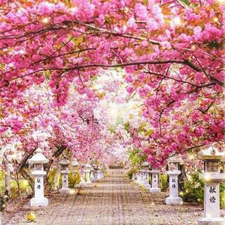 土木、建築板金、オペ、手元、 軽作業 など 日給8,000円～18,000円の画像