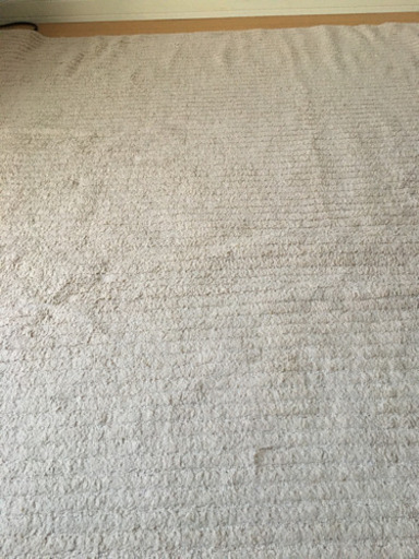 カーペット