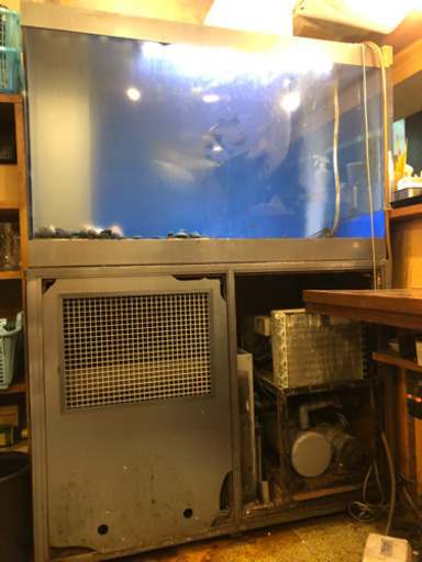 大型水槽