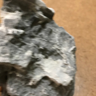 淡水水槽の置き石の画像