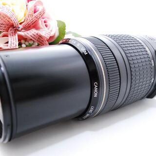 【大人気！】Canonレンズ 70-300 IS USM