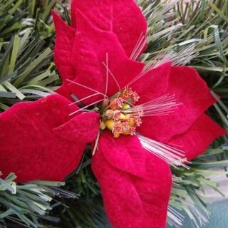 クリスマスツリーの画像