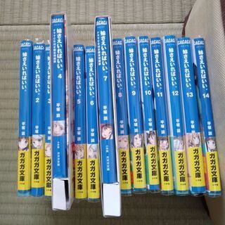 【交渉中】妹さえいればいい（完結）