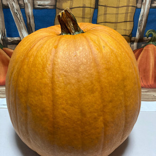 ワンコイン🎃ハロウィン　生かぼちゃ