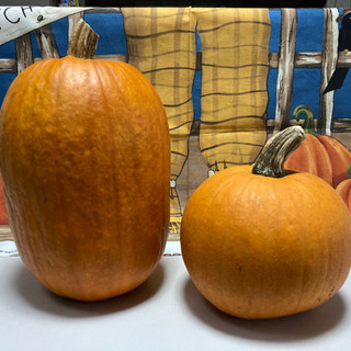 ［値下］🎃ハロウィン　かぼちゃ　(お得な2個セット)