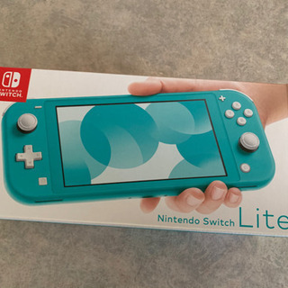 ニンテンドー　Switch light