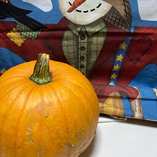 お値下げ🎃ハロウィン　生かぼちゃ　ぼっちゃり型