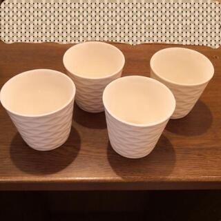 フリーカップ　4個セット