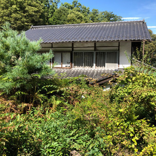 草刈りやります。