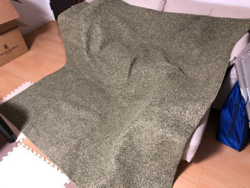 ニトリ　カーペット