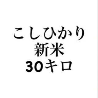 令和２年　新米　こしひかり　コシヒカリ　 30キロ　お米　コメ