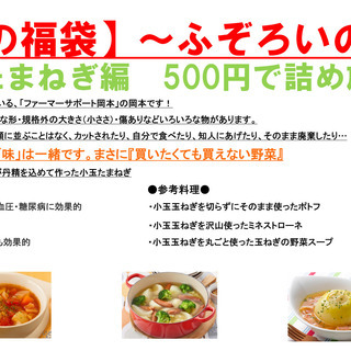 ☆詰め放題！！『野菜の福袋』小玉たまねぎ編☆ ※無くなり次第終了