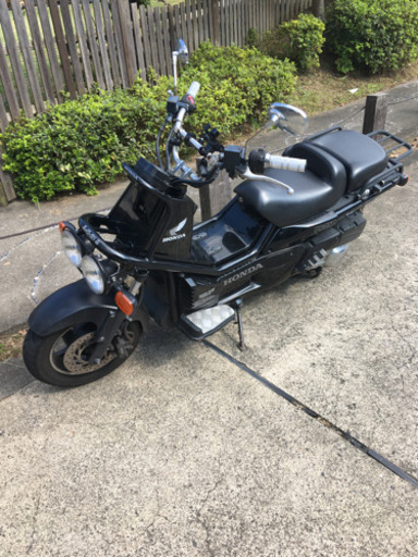 ps250 ホンダ　レア車　アウトドア　機関良好！自賠責付き、バッテリー交換済み、タイミングベルト交換済み！！