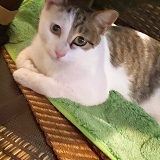 生後１年