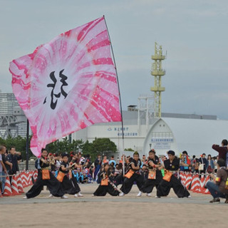 メンバー大募集‼️よさこい😃