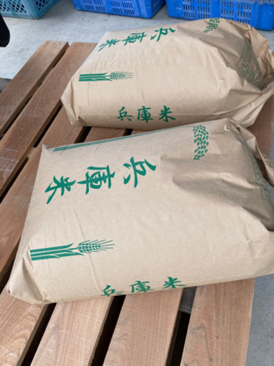 米　　昨年米　　玄米