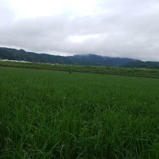 急募。安心院でのお仕事です。大分市から送迎あり