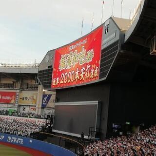 千葉ロッテマリーンズ仲間