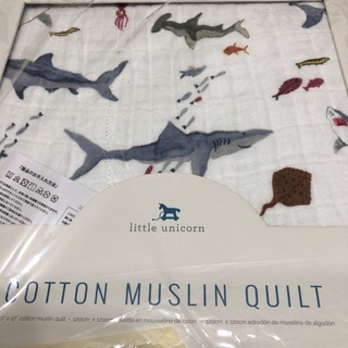 コットン　ブランケット　