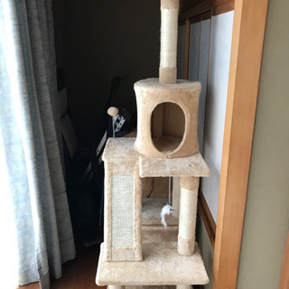 キャットタワー