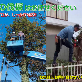 エコグリーン