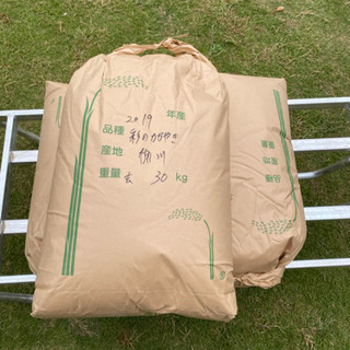 彩のかがやきの中古が安い！激安で譲ります・無料であげます