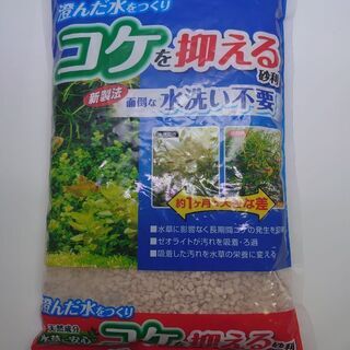 GEX  コケを抑える砂利