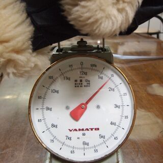 年末特別価格！　寒い季節に活躍ムートンハーフコート　直輸入物の画像