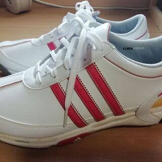 レディースゴルフシューズ【24cm】の画像