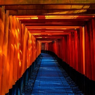 【大宮】江戸 芸者 三味線 伝統 和の心の画像