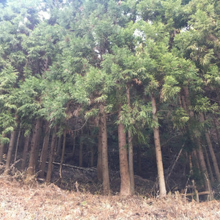 岩手県久慈市・建物付き土地です。 - 不動産