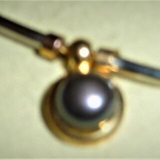 （差し上げます）中国で購入したネックレスの画像