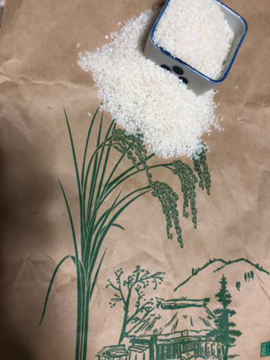 【新米】令和2年産コシヒカリ30kg