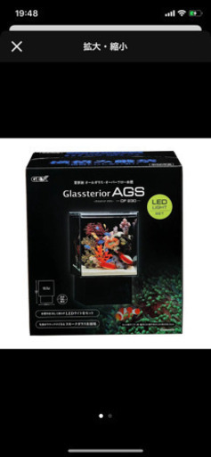 グラステリア　水槽
