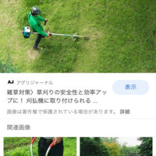 福岡県北九州市八幡東区大蔵　　50坪  10000円草刈りの画像