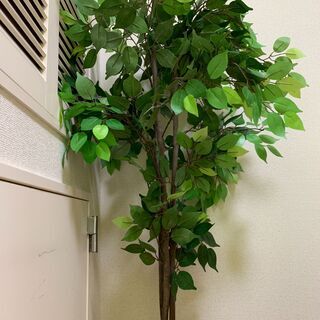 造花をお譲りします。部屋やオフィスの装飾にいかがでしょうか？