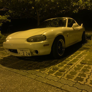 売れましたの画像