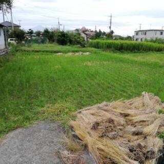 稲わら軽トラック1台分あげますの画像