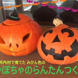 個性あふれるみかん色のかぼちゃ。らんたん作りでハロウィン気分♪　...