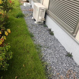 草刈り、1本木の枝切る