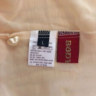 【取引済】【美品】フリルシースルーブラウスの画像
