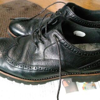 ROCKPORT ウイングチップ